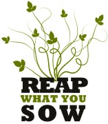 Reap What You Sow!